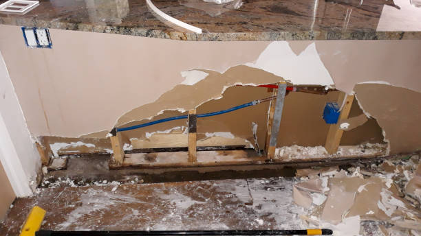 Best Flood damage cleanup  in Wallis, TX