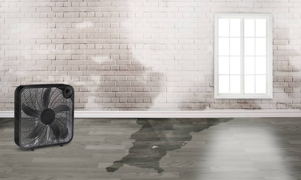 Water damage restoration experts in Wallis, TX