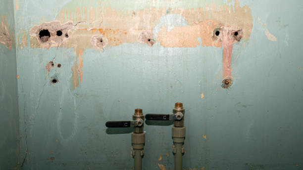 Best Water damage cleanup near me  in Wallis, TX